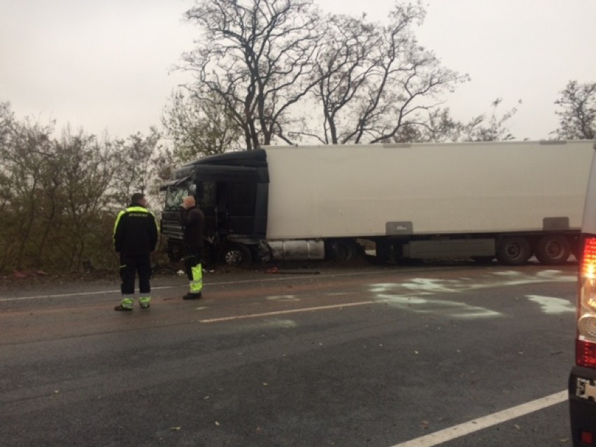 Śmiertelny wypadek na DK 22 w powiecie malborskim [ZDJĘCIA]. Kierowca samochodu osobowego zginął na miejscu