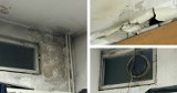 W takich warunkach pracują policjanci w Bytomiu! Myszy, grzyb i dziury w ścianach - zobacz WIDEO