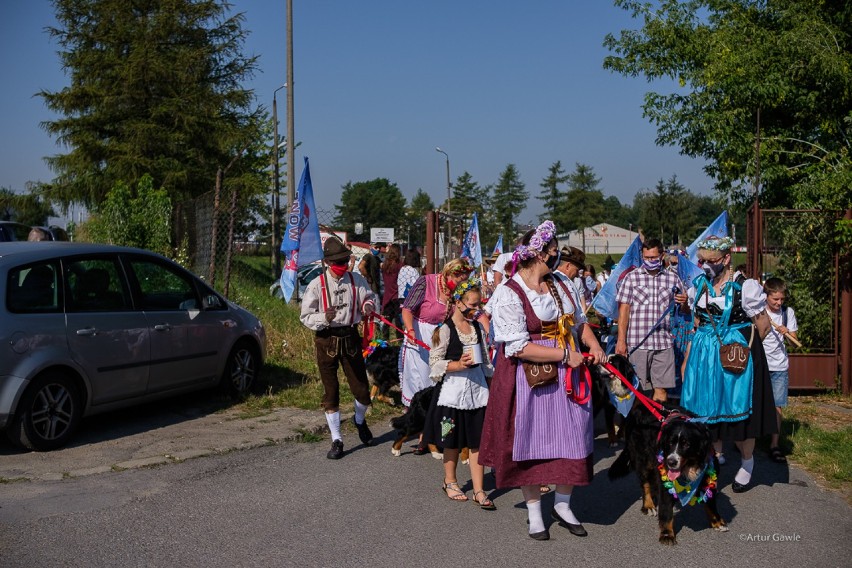 Tarnów. Berneńczyki opanowały miasto [ZDJĘCIA]