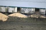 W Kotomierzu ktoś wysypał z wagonów pociągów kukurydzę z Ukrainy. Jest śledztwo