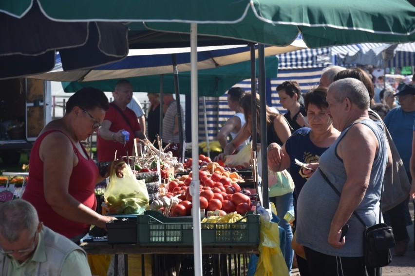 Czwartek to w Wągrowcu dzień targowy. Sprawdźcie ceny owoców i warzyw na targowisku przy ul. Gnieźnieńskiej 