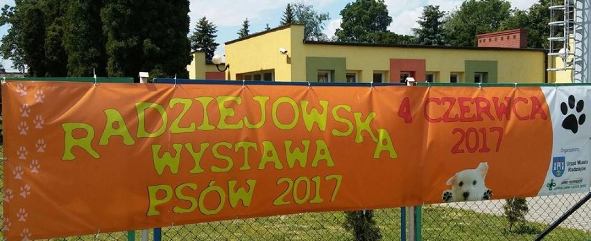 Dzień Dziecka z wystawą psów w Radziejowie