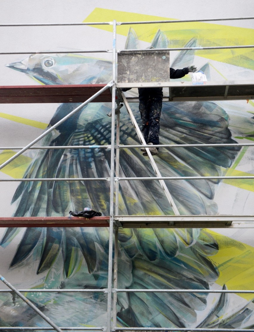 Kolejne murale powstają przy ulicy Ptasiej w Zielonej Górze.