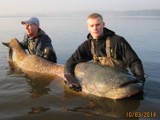 Sum STEFAN w Zalewie Rybnickim [ZDJĘCIA, WIDEO]! Ryba ważyła 107 kilogramów!