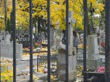 Świdnik: Bez utrudnień w rejonie cmentarza