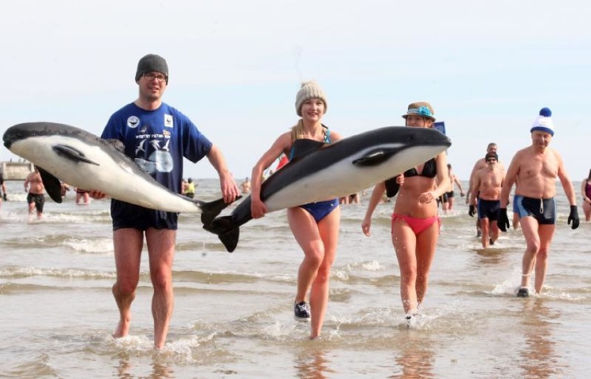 Akcja WWF na sopockiej plaży.„Godzina dla morświna. Bądź...