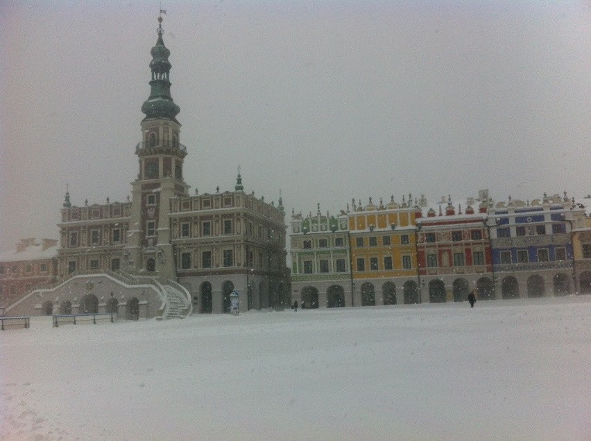 Zamość i region: Zima wróciła, ale najgorsze już za nami. ZDJĘCIA, RELACJA