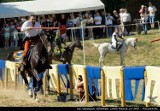 Tak było na Turnieju Rycerskim w Świeciu nad Osą. Zobacz zdjęcia Waldemara Kosińskiego