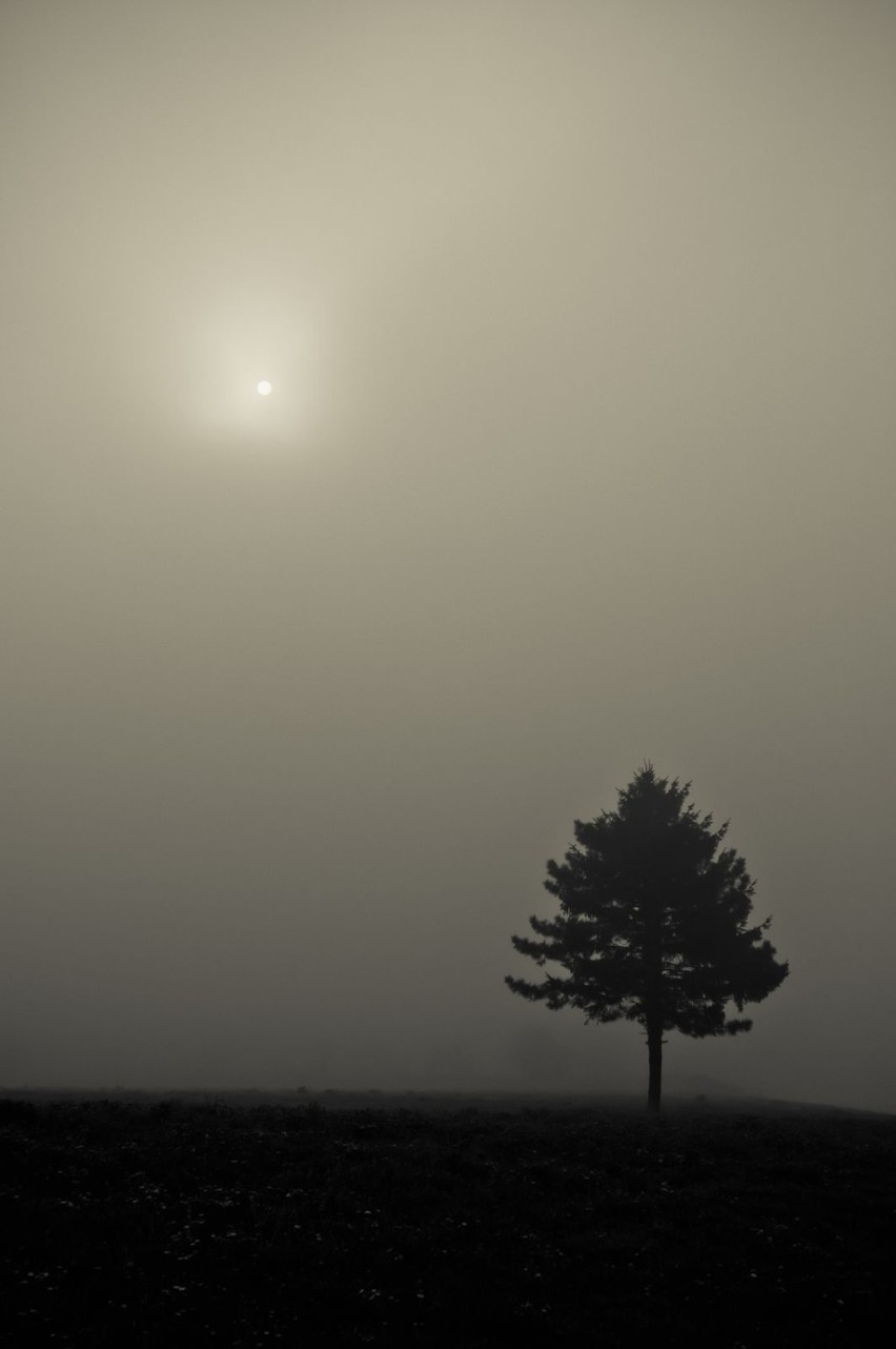 Słońce nieśmiało zaczęło przebijać się przez mgłę (lotnisko...