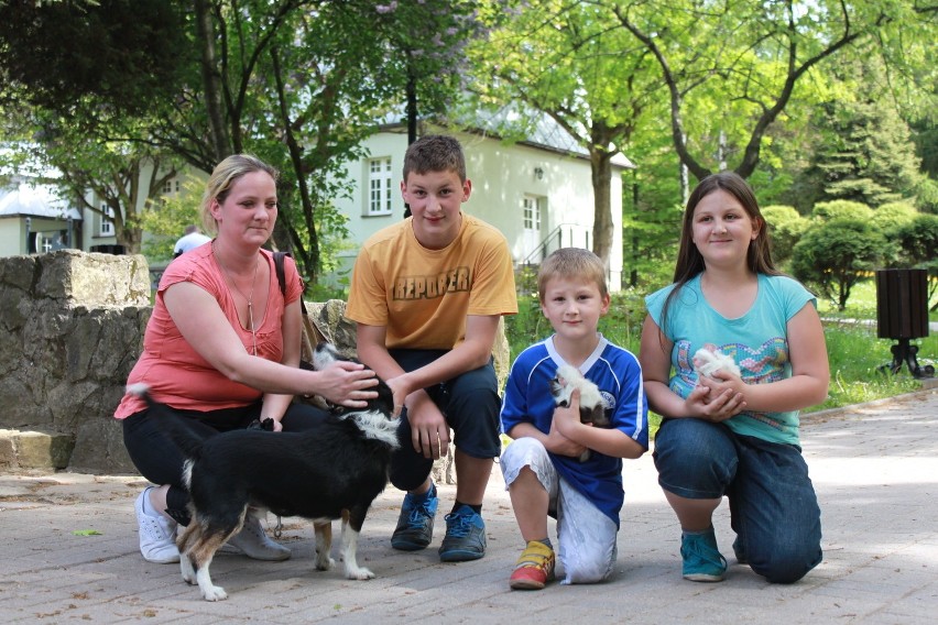 Wiosna w Parku Zdrojowym w Jastrzębiu na ZDJĘCIACH