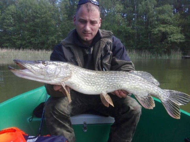 Paweł Drozd prezentuje szczupaka (5 kg/90 cm) złowionego 15 maja w Ciborzu