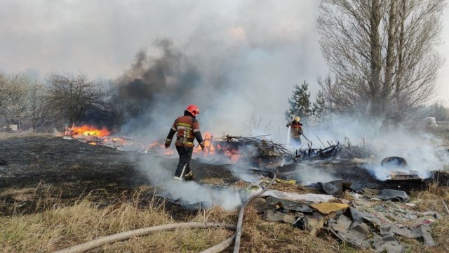 Ogień trawił lasy w pobliżu strefy wykluczenia od 4 kwietnia