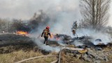 Pożar w rejonie Czarnobyla niepokoi mieszkańców woj. lubelskiego. Państwowa Agencja Atomistyki wydała komunikat