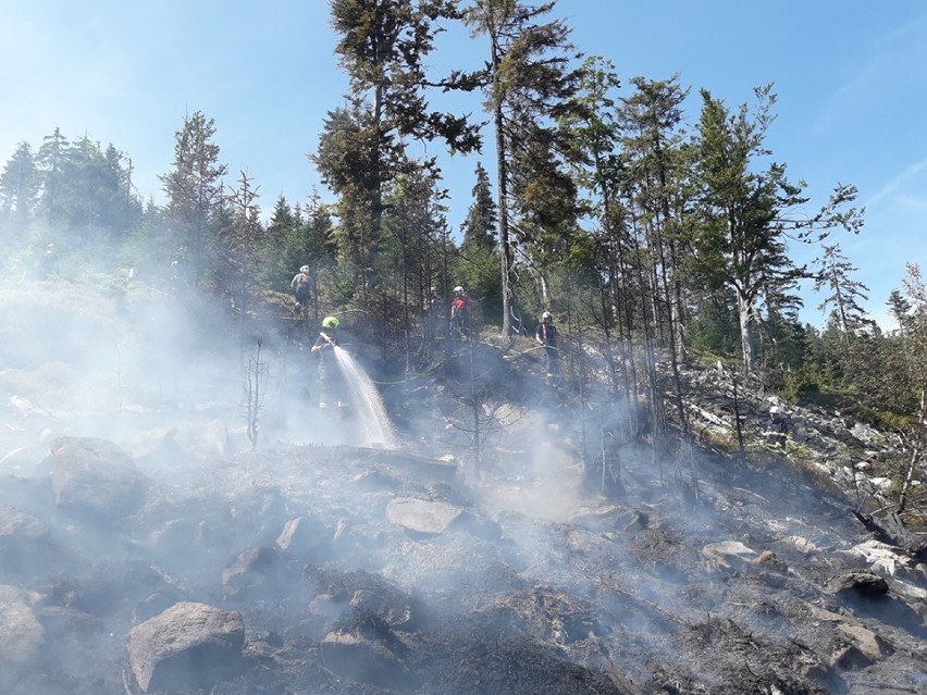 Nasi strażacy pomagali gasić ogromny pożar lasów w Czechach (ZDJĘCIA)