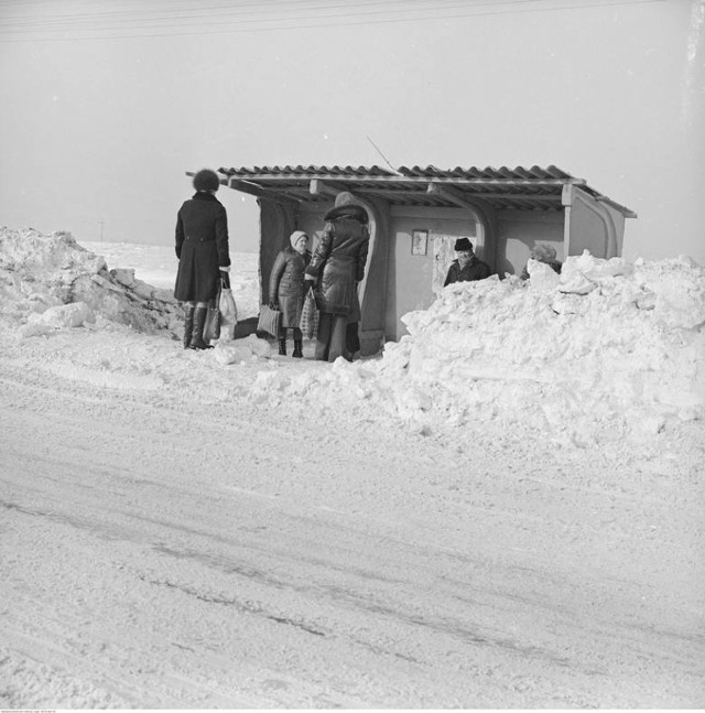 Zima stulecia w Starych Babicach i okolicy. Rok 1979