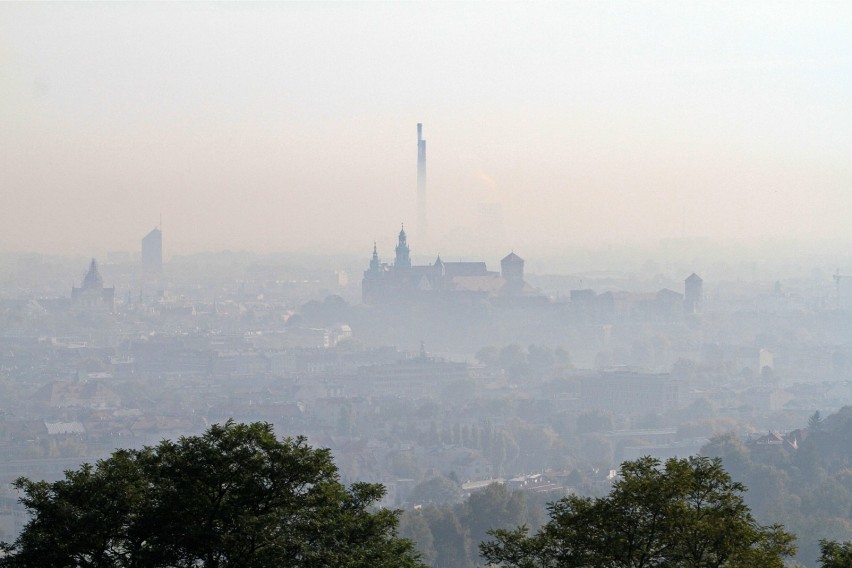 Smog w Krakowie. Nie wolno używać węgla marnej jakości. Od lipca 