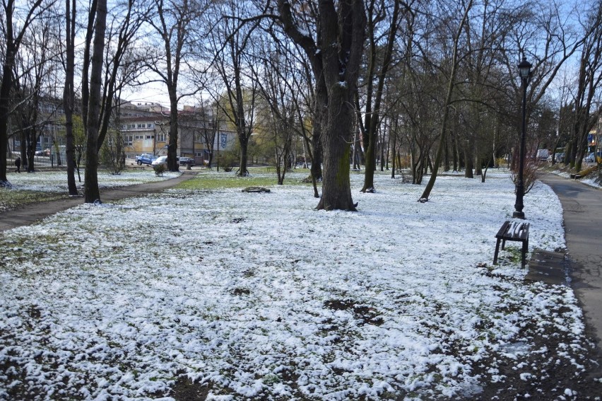 Bochnia. Zima przybyła do Bochni w trzecim dniu wiosny [ZDJĘCIA]