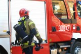 Tragedia na ogródkach działkowych w Zielonej Górze. W pożarze zginął mężczyzna