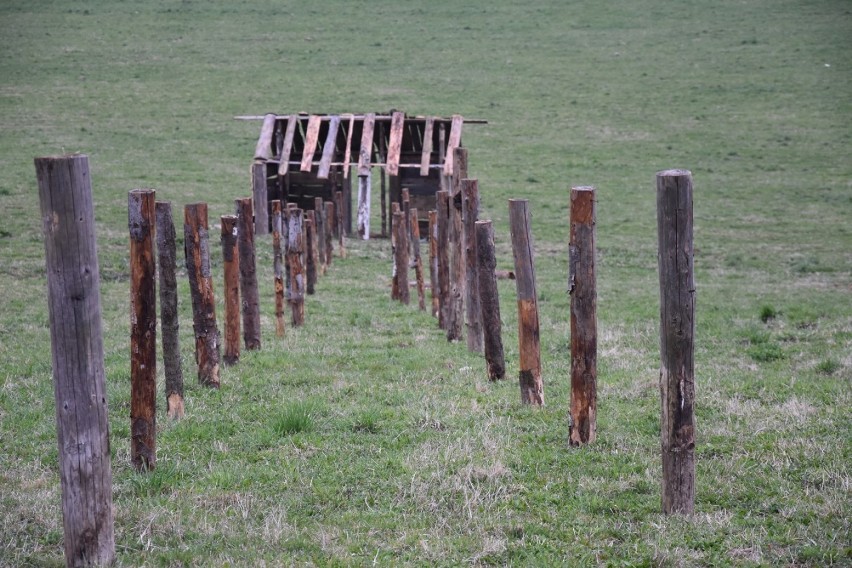 Rekonstrukcja Bitwy pod Gorlicami już 4 maja. Trwa budowa okopów[FOTO]