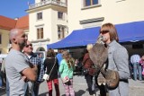 Rodzinny Piknik Ekologiczny w Tarnobrzegu [ZDJĘCIA]