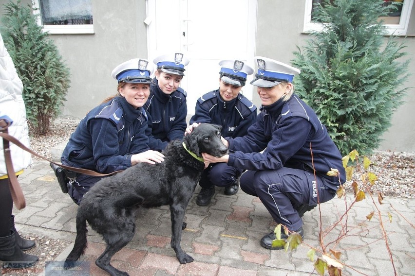 Policjantki pomagają zwierzakom 
Do włocławskiego schroniska...