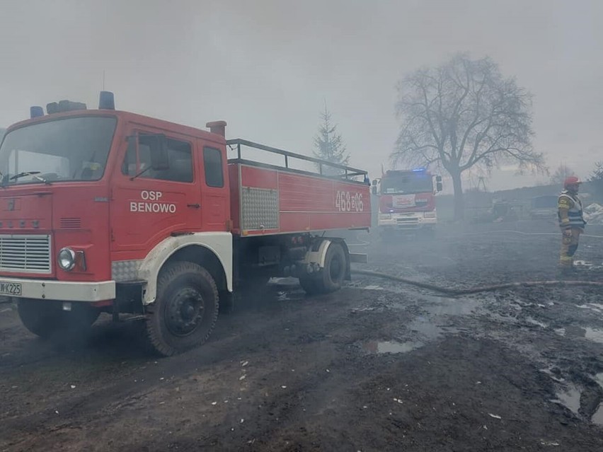 Pożar chlewni gasiło 11 zastępów strażackich z powiatu...