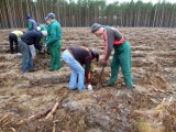 Zamiast zasiłku spółdzielnia socjalna. Bezrobotni z Czarnkowa będą pracować w lesie