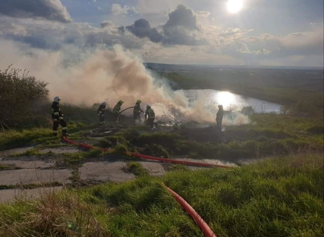 To kolejny już pożar na nieużytkach w gminie Unisław. - Ktoś podpala dla zabawy - podejrzewają mieszkańcy