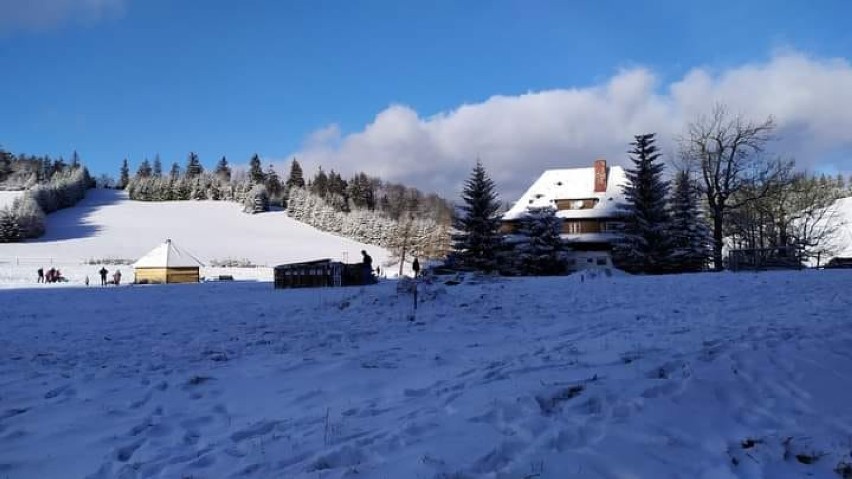 Śnieg w Andrzejówce, na Dzikowcu i w Rzeczce. Mieszkańcy oblegają stoki, bo jest pięknie! [NOWE ZDJĘCIA]