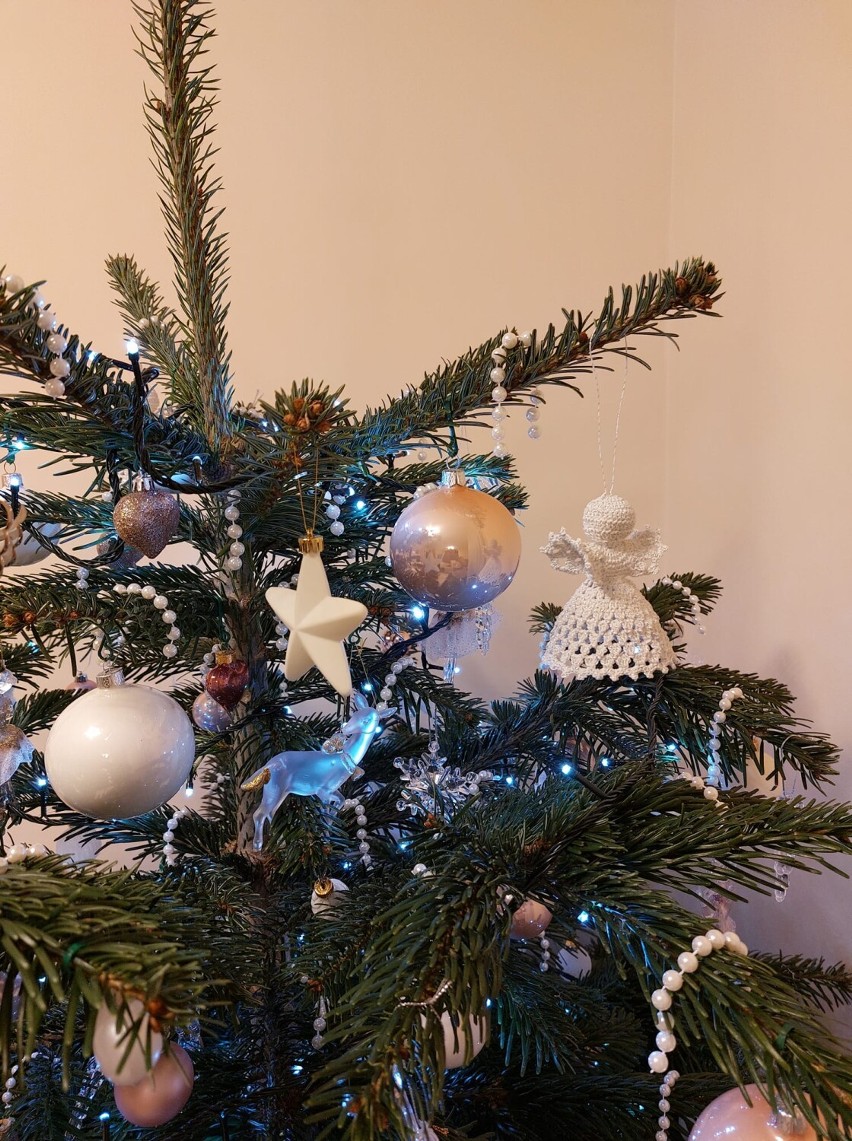 Choinki Czytelników portalu kwidzyn.naszemiasto.pl. Zobaczcie wyjątkowe zdjęcia świątecznych drzewek! [ZDJĘCIA]