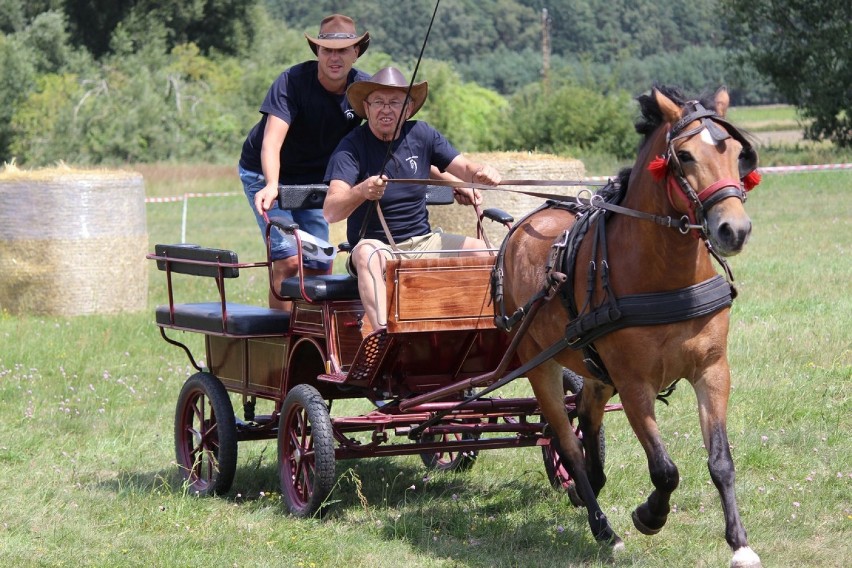 Święto Konia Stefanowo 2018. Część I