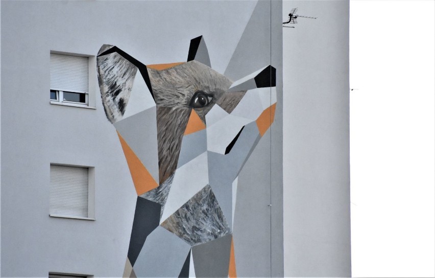 Graffiti, które zachwyca i budzi uśmiech! Kolejny lisek „biega” po elewacji wieżowców przy ul. Lisiej w Zielonej Górze