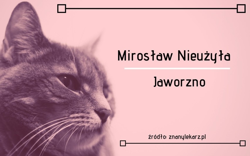 Najlepsi lekarze weterynarii w województwie śląskim -...