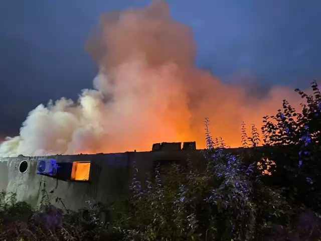 W Mysłowicach w dzielnicy Krasowy palił się budynek z warsztatami samochodowymi. 

Zobacz kolejne zdjęcia. Przesuń zdjęcia w prawo - wciśnij strzałkę lub przycisk NASTĘPNE