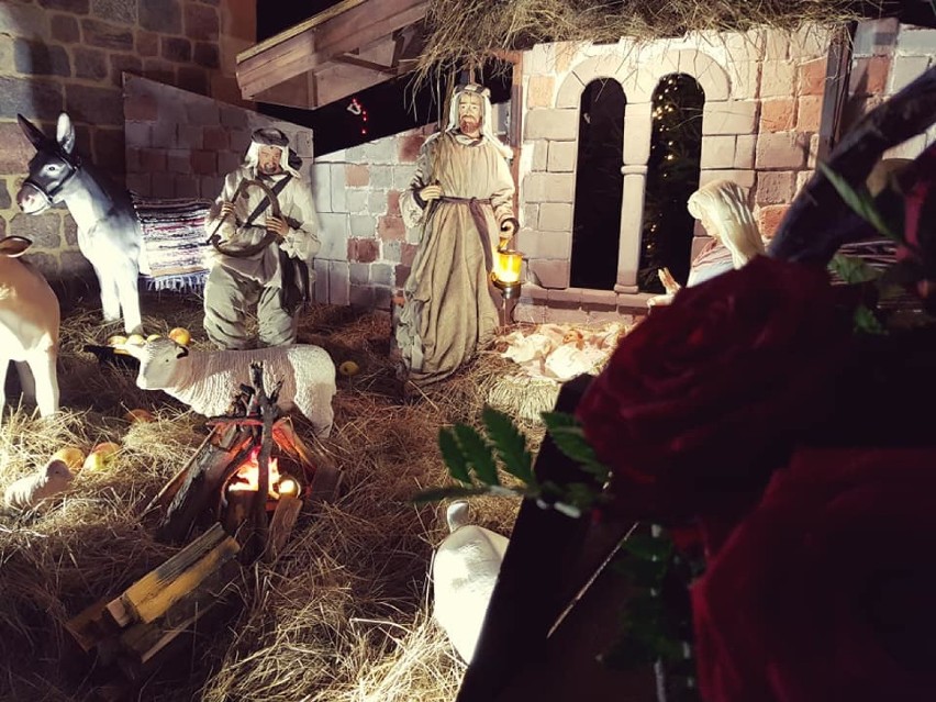 Przepiękna szopka bożonarodzeniowa w Archikolegiacie w Tumie [ZDJĘCIA] 