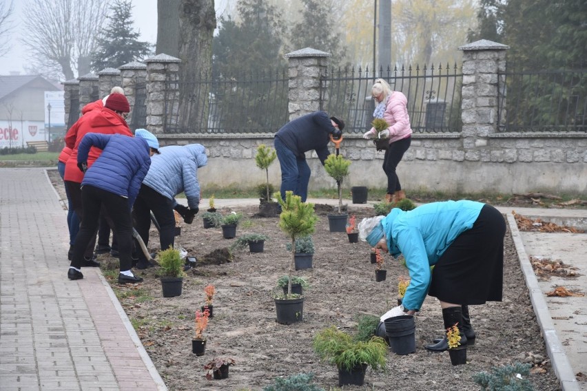 Seniorzy w Tarnówce w ramach warsztatów posadzili rośliny