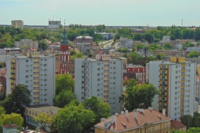 Tu, przy ul. Czartoryskiego w Bydgoszczy, rozegrał się dramat psa Kajtka. Zapadł wyrok