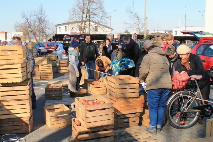 Gmina Puławy: Rozdadzą jabłka po raz drugi