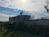 Gmina Lwówek: Niebezpieczny pożar kotłowni w Brodach! 