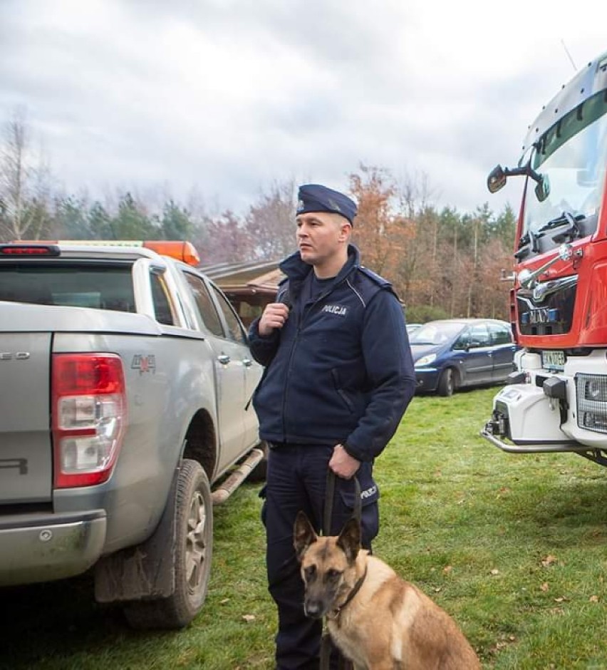 Dziś obchodzimy Światowy Dzień Psa. Zobaczcie, jakie czworonogi służą w kwidzyńskiej policji i na czym polega ich praca[ZDJĘCIA]