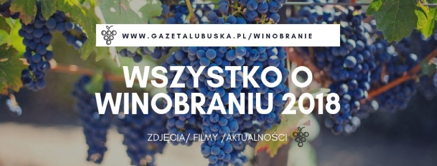 Winobranie 2018: Scena Miasteczka Winiarskiego rozkołysze zielonogórzan! [PROGRAM]