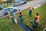 Ćwiczenia przeciwpowodziowe w Bydgoszczy. Jak służby reagują w sytuacji zagrożenia? [zdjęcia]