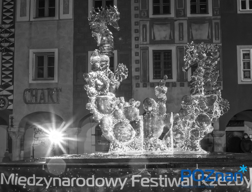 Festiwal Rzeźby Lodowej