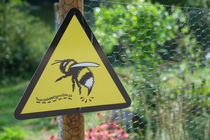 Nowe Zoo w Poznaniu działa a domki dla pszczół powstają przy Motylarni
