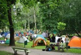 Festiwal reggae 2015 w Wodzisławiu Śl.: Będzie pole namiotowe w parku