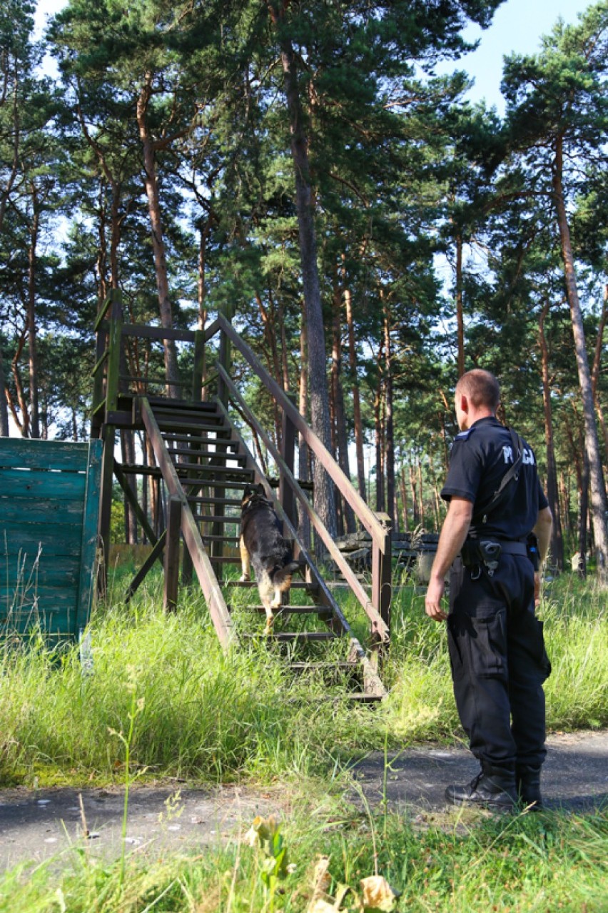 Najlepszy przewodnik i pies patrolująco-tropiący jest w Brodnicy [zdjęcia]