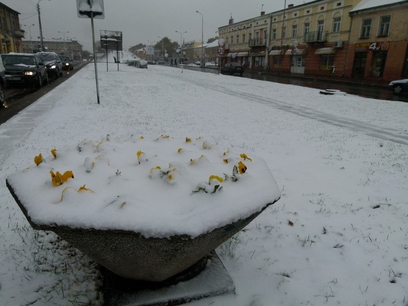 Zima w Tomaszowie. Spadł śnieg, tomaszowianie od rana walczyli z opadami