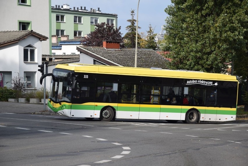 Jak wygląda rozkład jazdy miejskich autobusów w Zielonej...