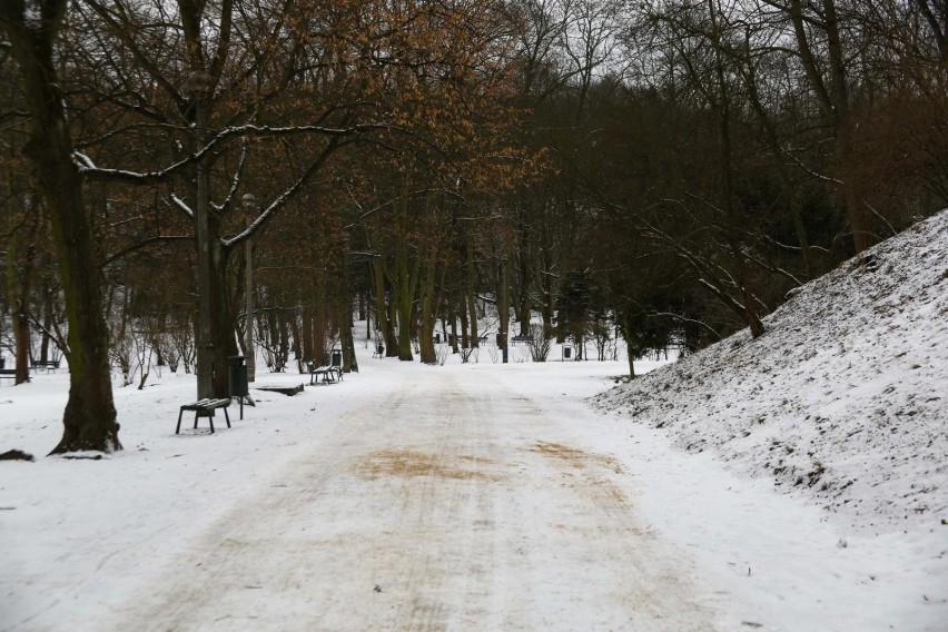 Remont zabytkowego parku Bednarskiego. Naukowcy z AGH opracowali trzy koncepcje zabezpieczenia ścian 