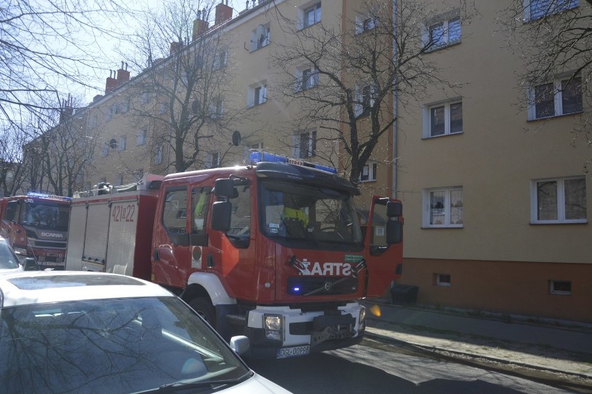 Głogów: Trzy wozy strażackie i policja na ul. Matejki... bo ktoś zostawił papierosy w doniczce
